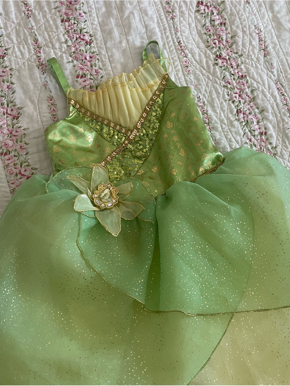 Disney parks bibbidi bobbidi boutique Tiana Princess and the frog dress